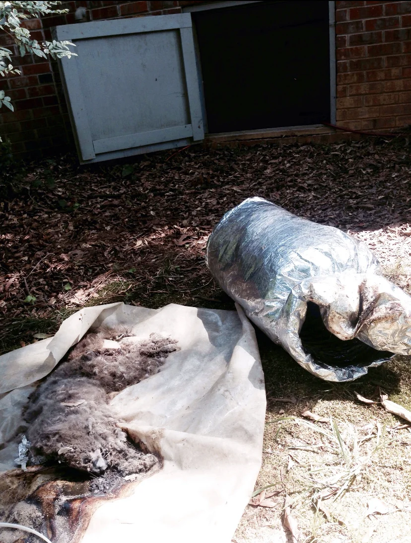 house duct cleaning
