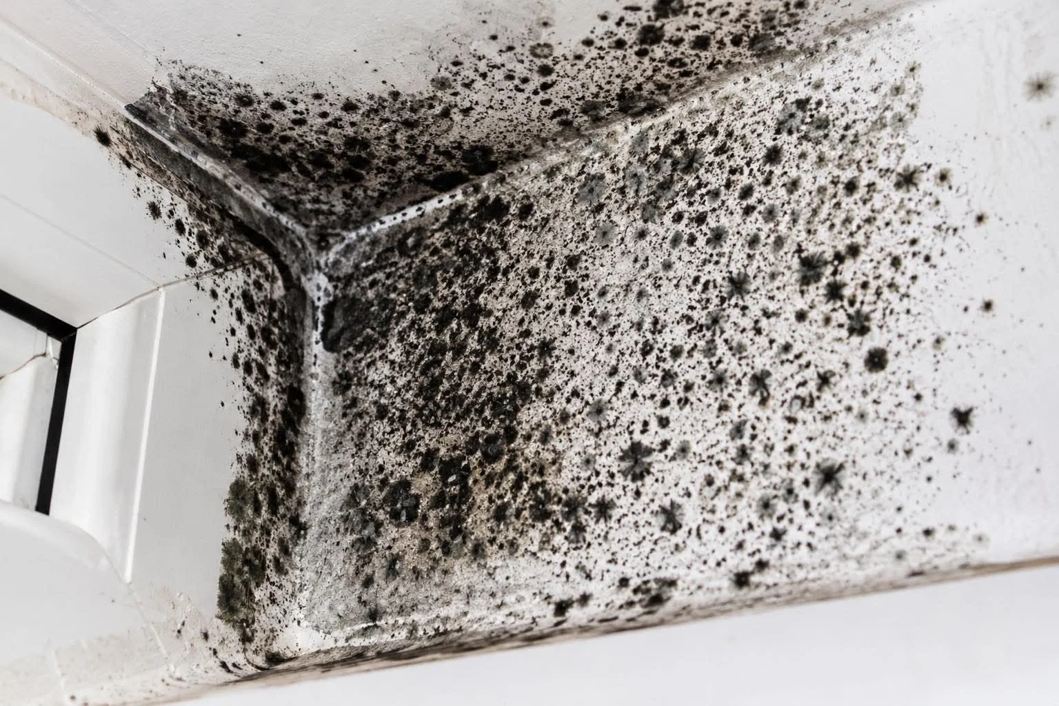 Mold-infested air duct
